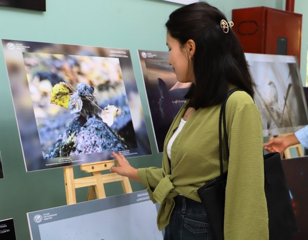 ОшМПУда Башкортостан жаратылышына арналган көргөзмө уюштурулду